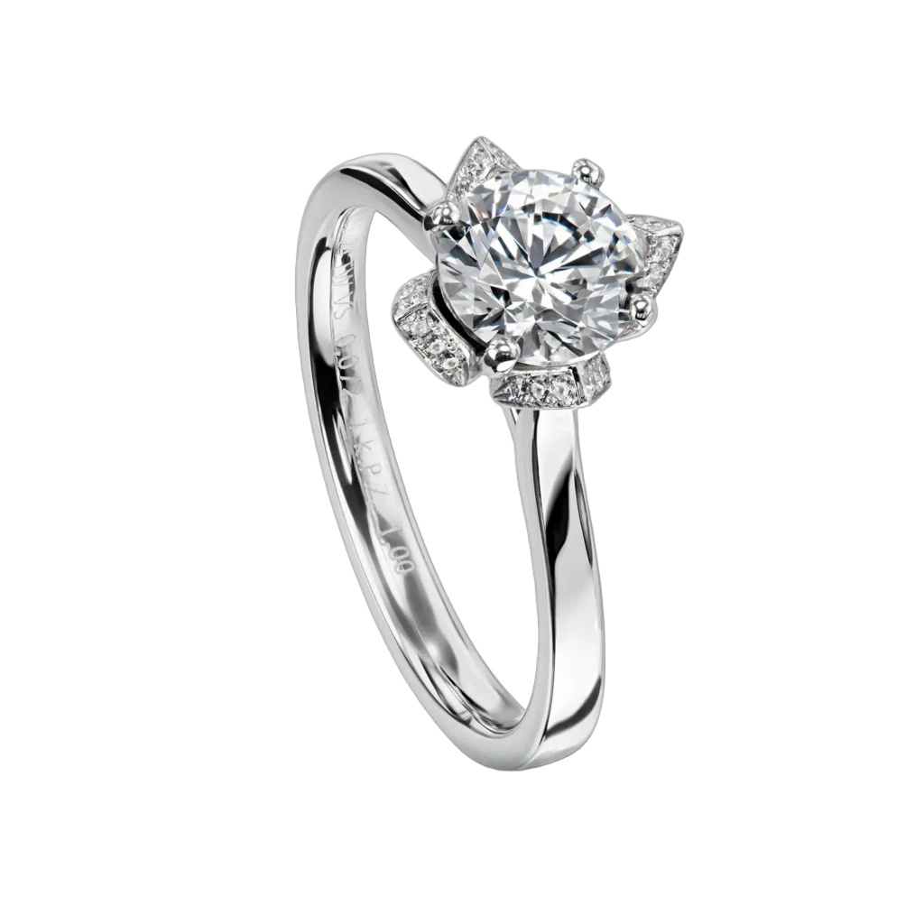 Furrer Jacot Women's Ring Lotisse 750 White Gold | 24 Brilliant-Cut Diamonds
